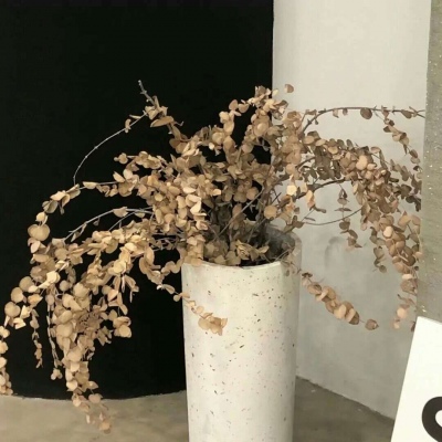 兽设质感表现实用教程兽圈社群